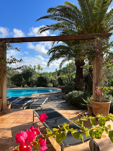 Blick über die Finca Terrasse mit Palmen und Pool